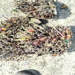 defect_test (210).jpg