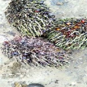 defect_test (218).jpg