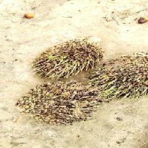 defect_test (223).jpg