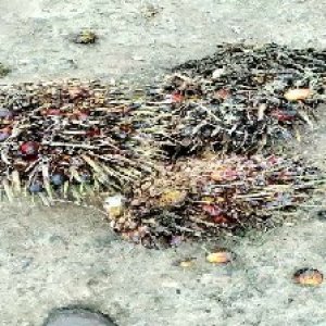 defect_test (225).jpg