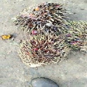 defect_test (226).jpg