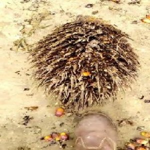 defect_test (23).jpg