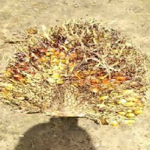 defect_test (25).jpg