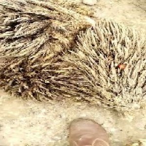 defect_test (29).jpg