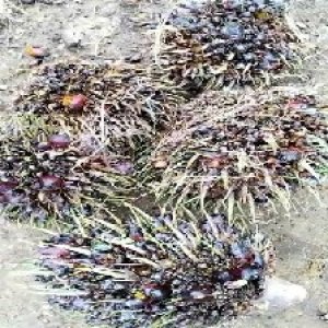 defect_train (1000).jpg