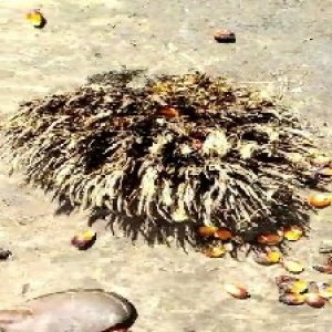 defect_train (1005).jpg