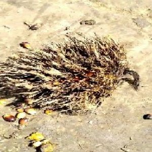 defect_train (1010).jpg