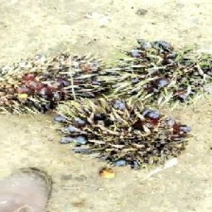 defect_train (1013).jpg