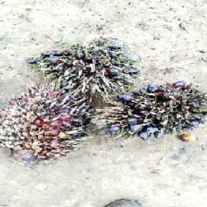 defect_train (1022).jpg