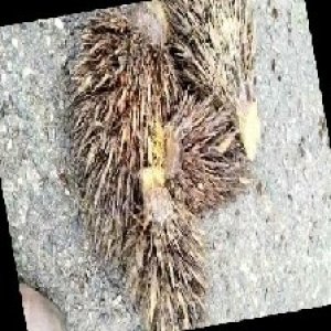 defect_train (1040).jpg