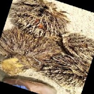 defect_train (1095).jpg