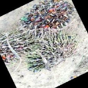 defect_train (1112).jpg