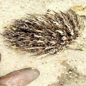 defect_train (1122).jpg