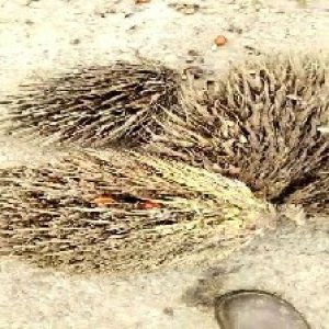 defect_valid (102).jpg