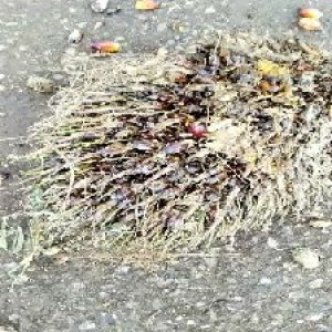 defect_valid (116).jpg