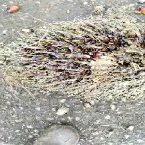 defect_valid (117).jpg