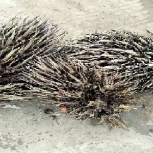 defect_valid (12).jpg