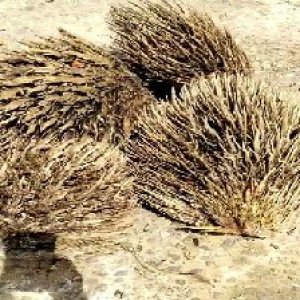 defect_valid (121).jpg