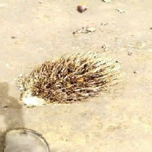 defect_valid (129).jpg