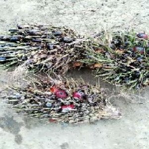 defect_valid (137).jpg